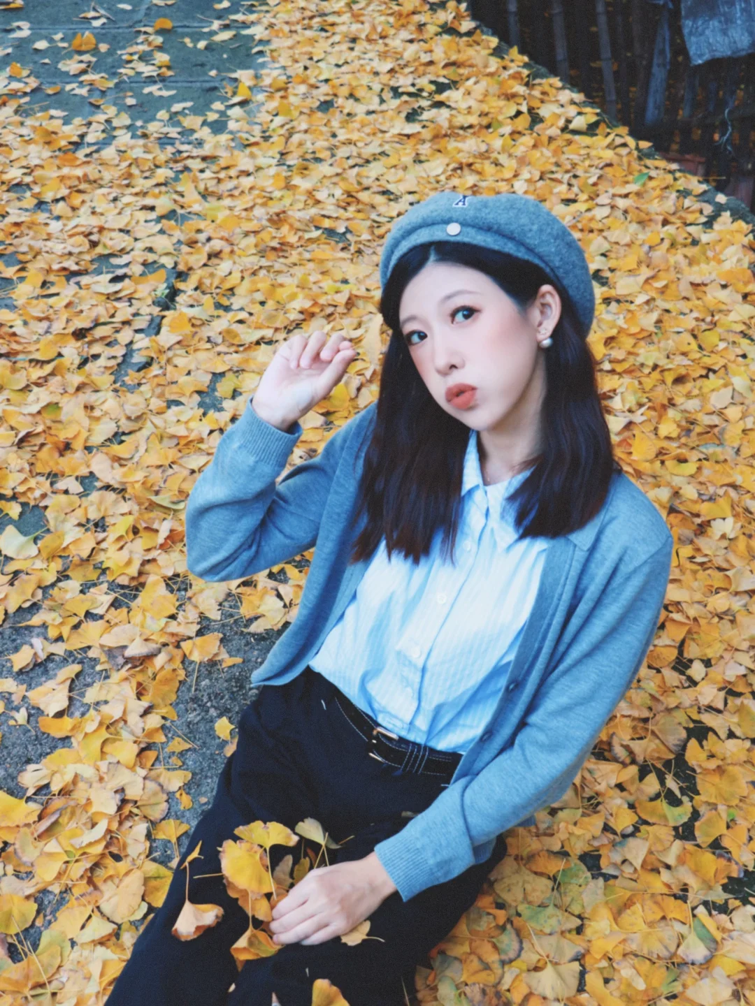 又被骗去了🙂‍↔️11月15日惨状