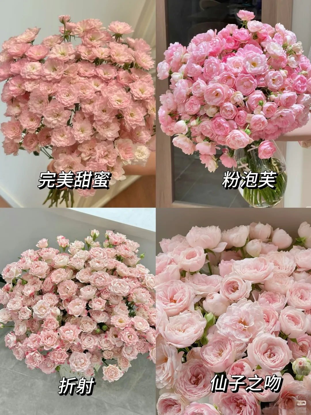 没有女生能拒绝！这几种玫瑰美到心尖发颤！