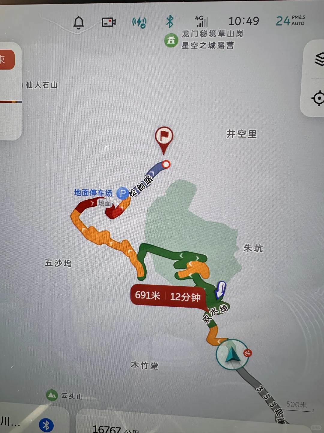 金钱松森林没来的别来了