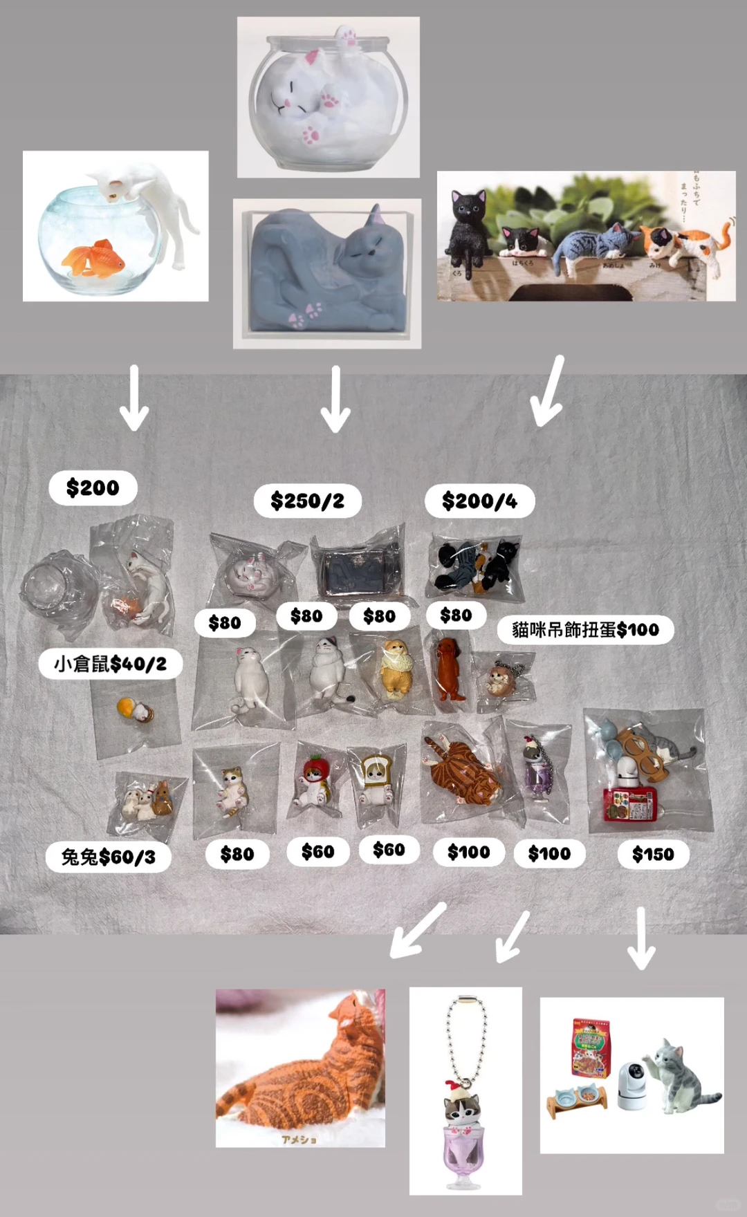 台灣➗出三麗鷗&森林家族&貓咪扭蛋