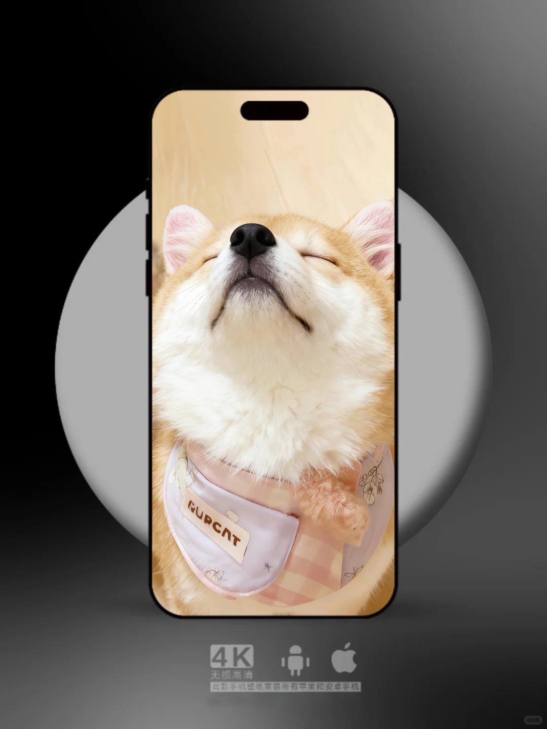 【092 期】 最后一张壁纸也太顶了吧！！