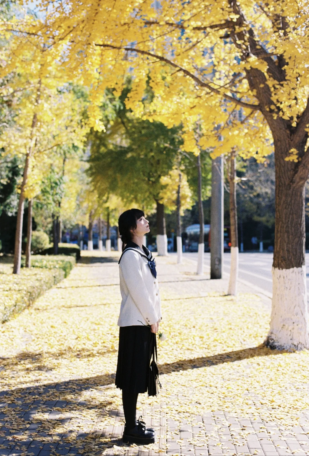 大连的百年电车