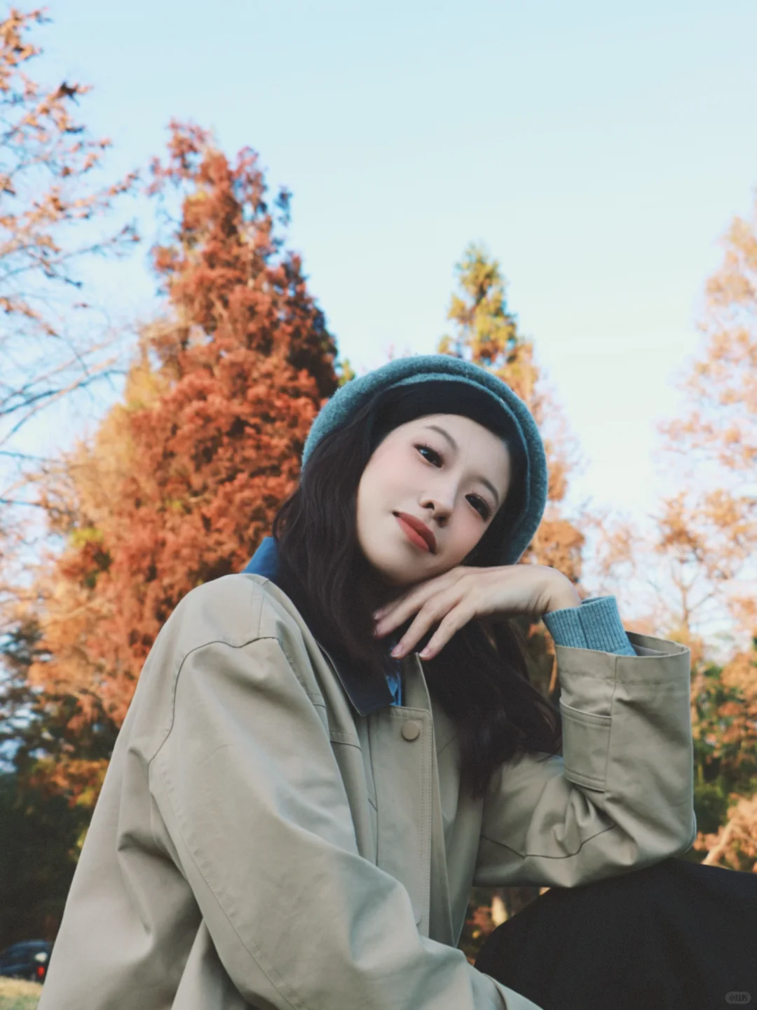 又被骗去了🙂‍↔️11月15日惨状