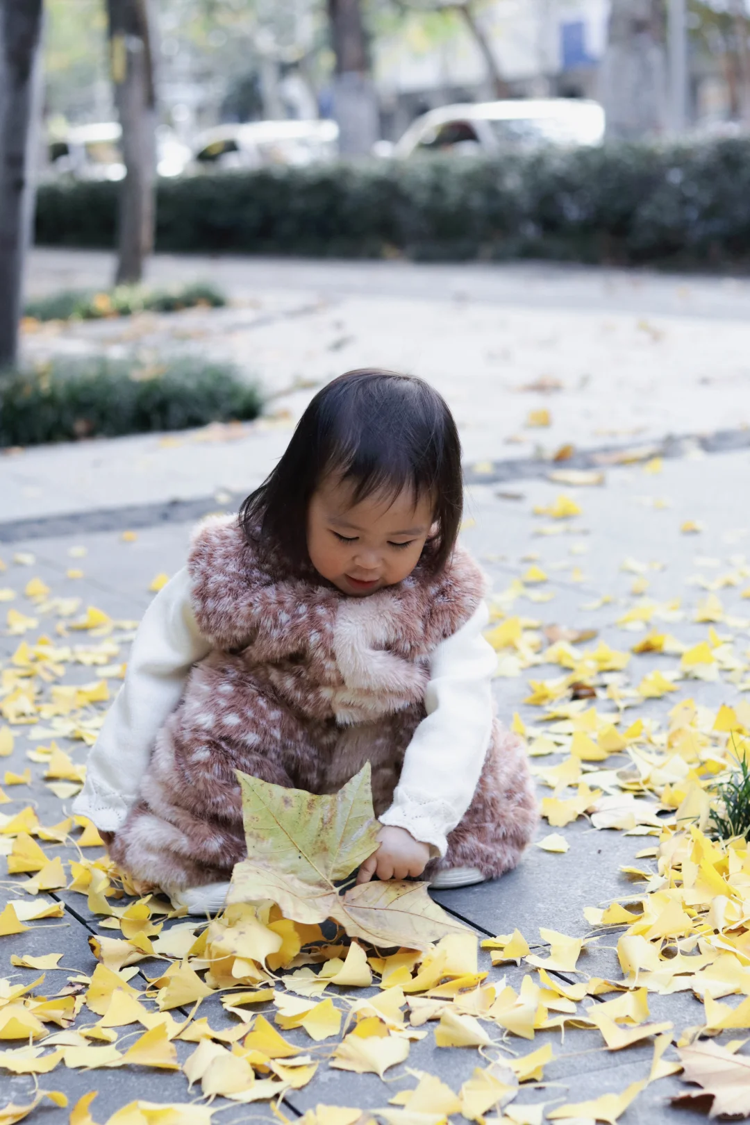 100组写真 第8组