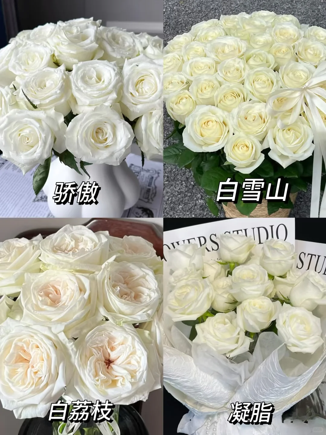 没有女生能拒绝！这几种玫瑰美到心尖发颤！