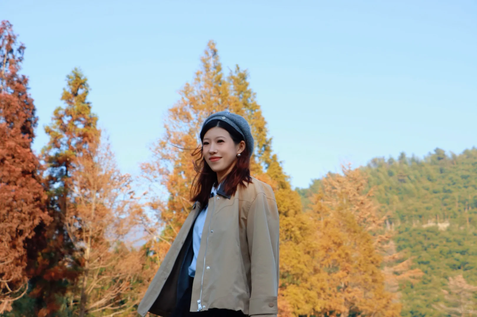 又被骗去了🙂‍↔️11月15日惨状