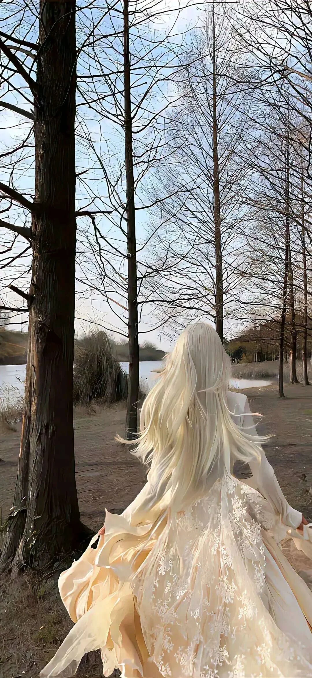 手机壁纸|超清全屏壁纸