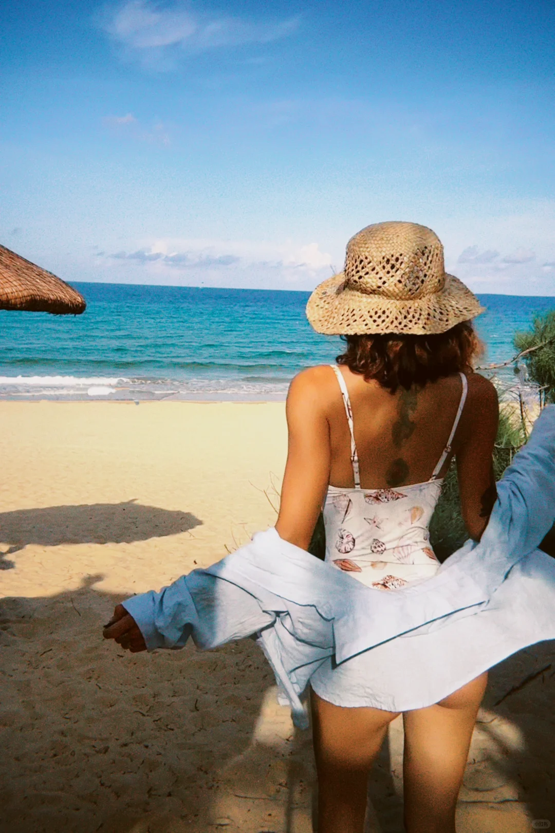 🌊海风🐚贝壳和晒不腻的☀️阳光