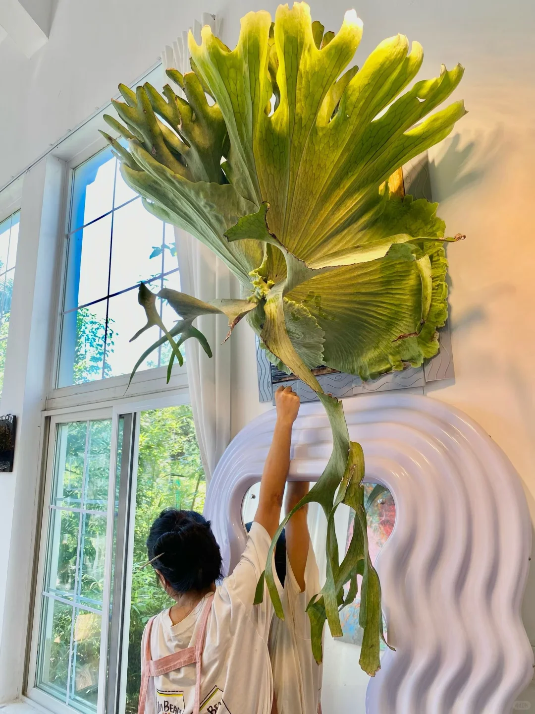 plog好美！我说这张脸