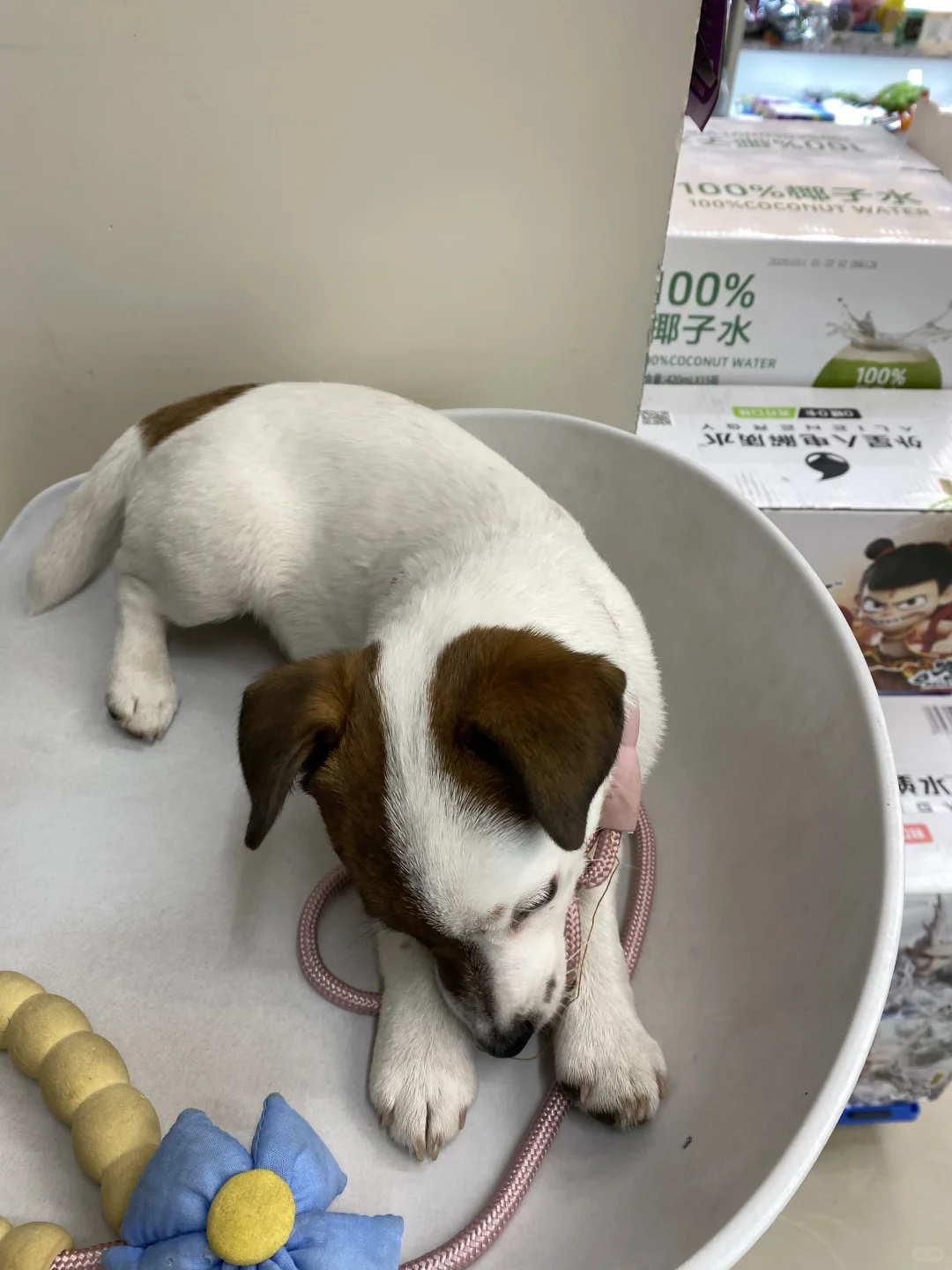 坏女孩的写真集