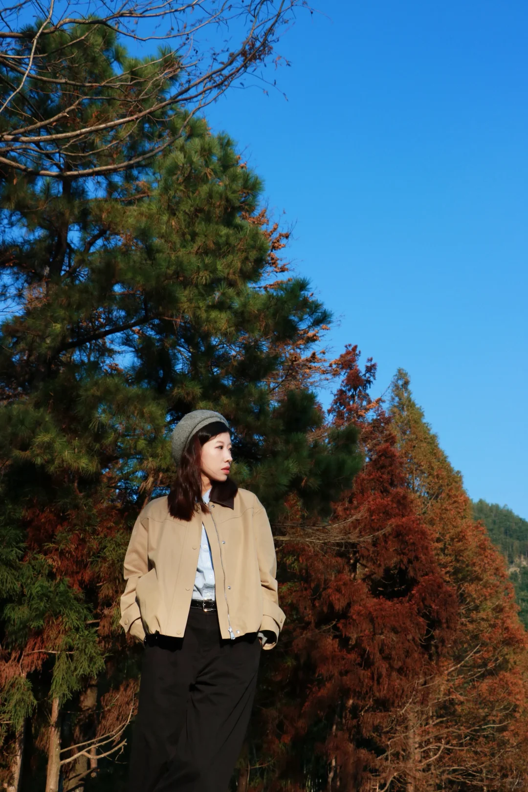 又被骗去了🙂‍↔️11月15日惨状