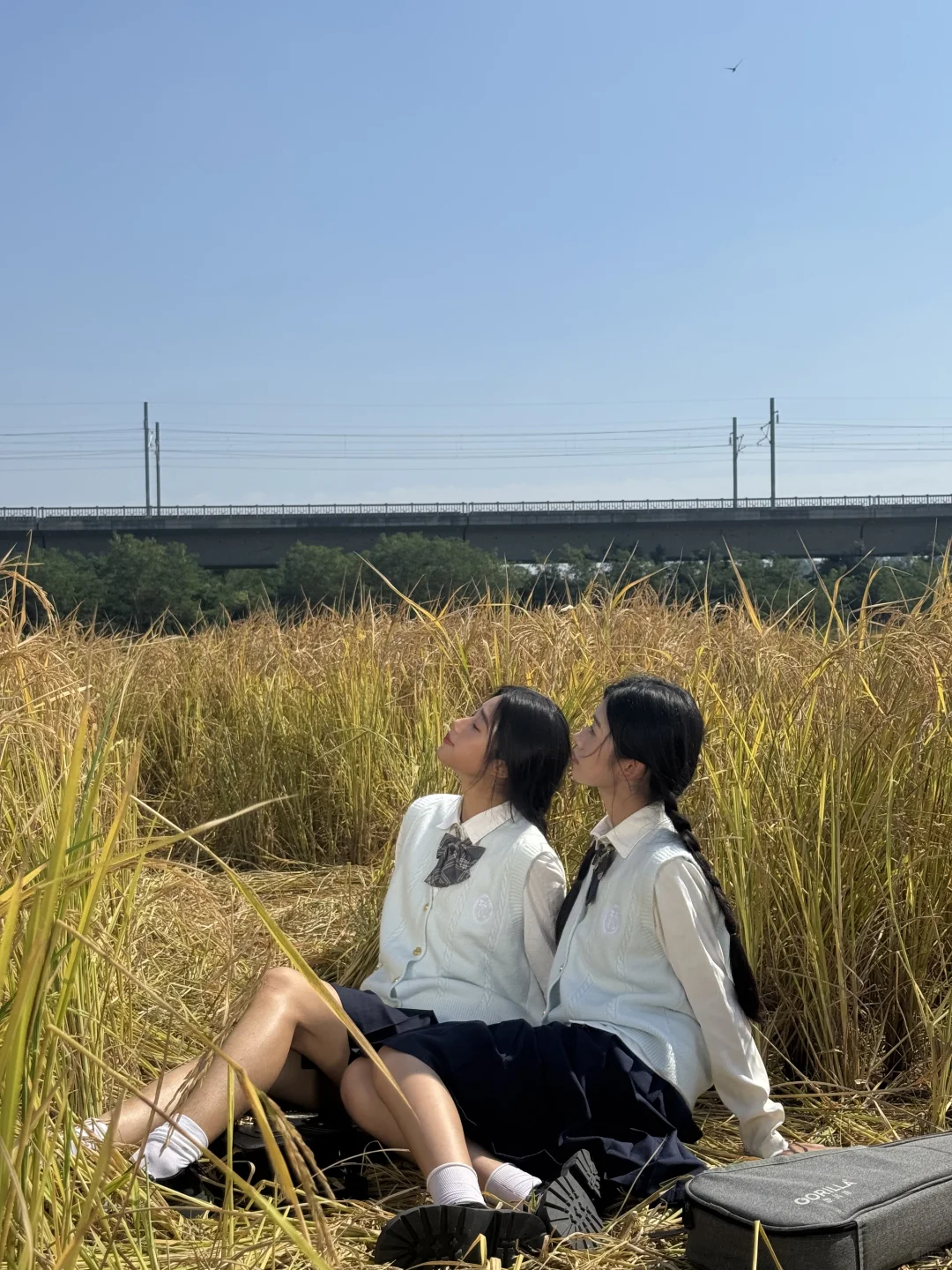 在我身边的你❤️今日份花絮