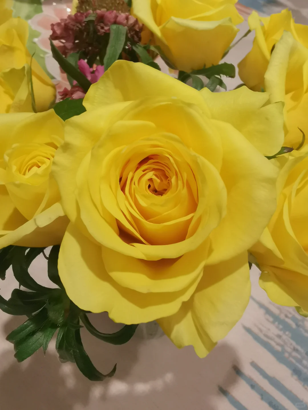 11月～第3束鲜花，娇艳玫瑰～