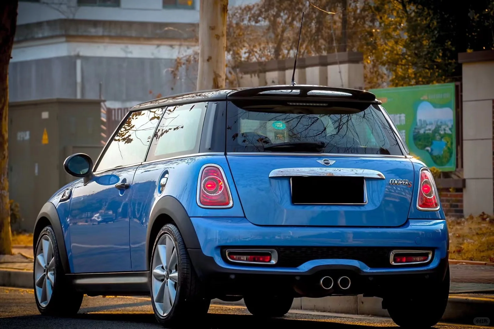 R56S