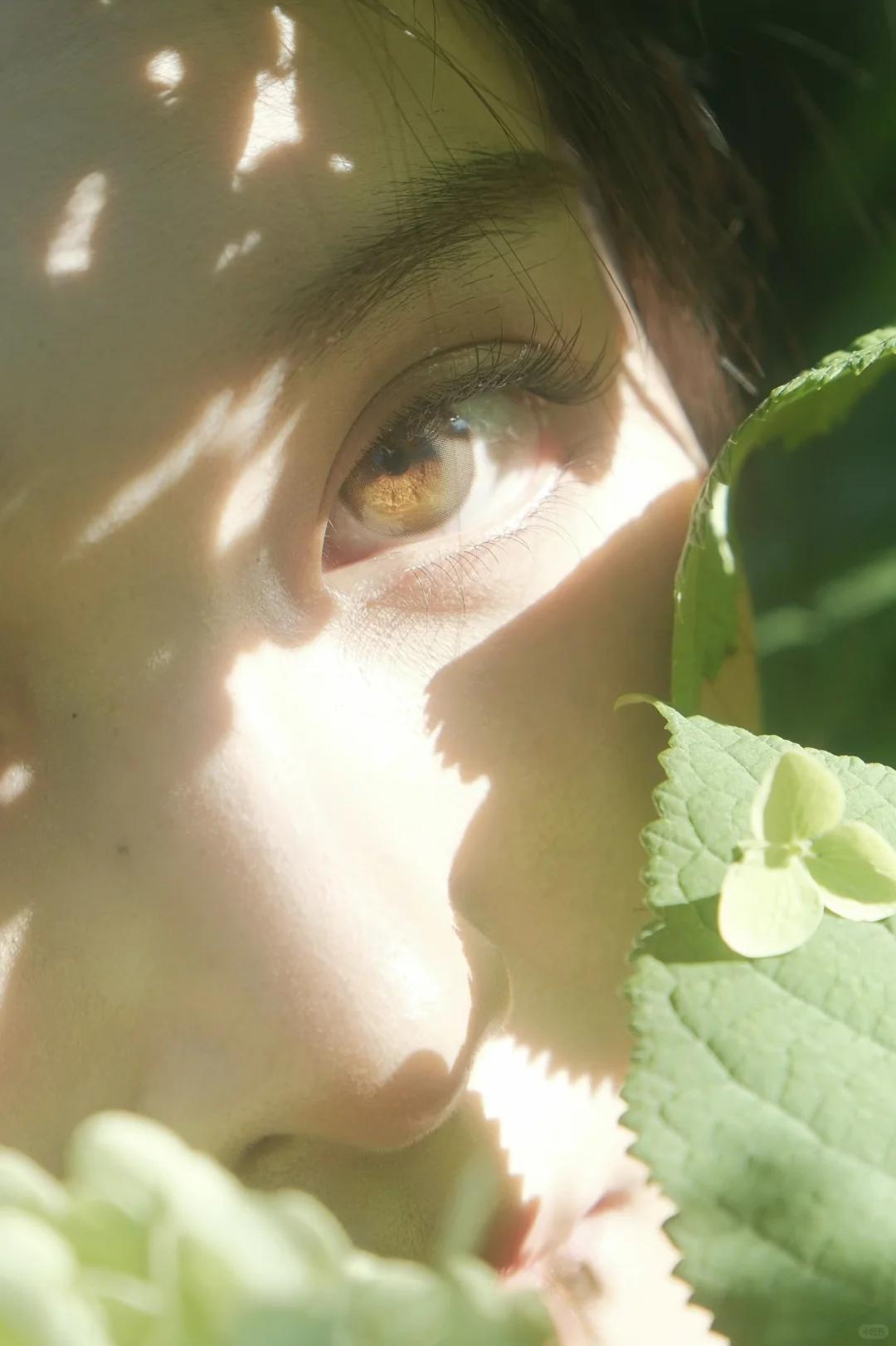 这算不算神级特写？