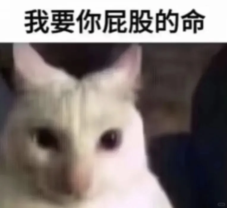 火象跟土象调情就是“媚眼抛给瞎子看”