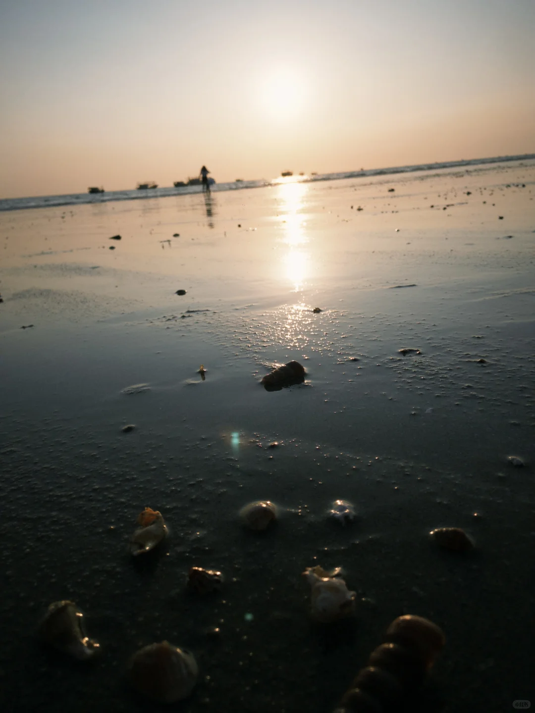 ☆₊ pl🩵g |存一些海边神图拍照姿势🌊·͜·♡