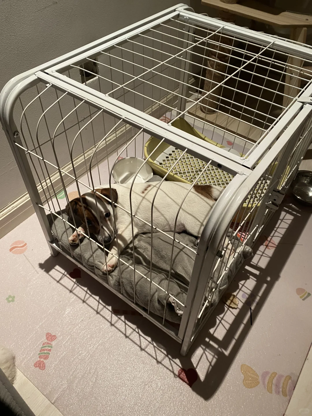 坏女孩的写真集