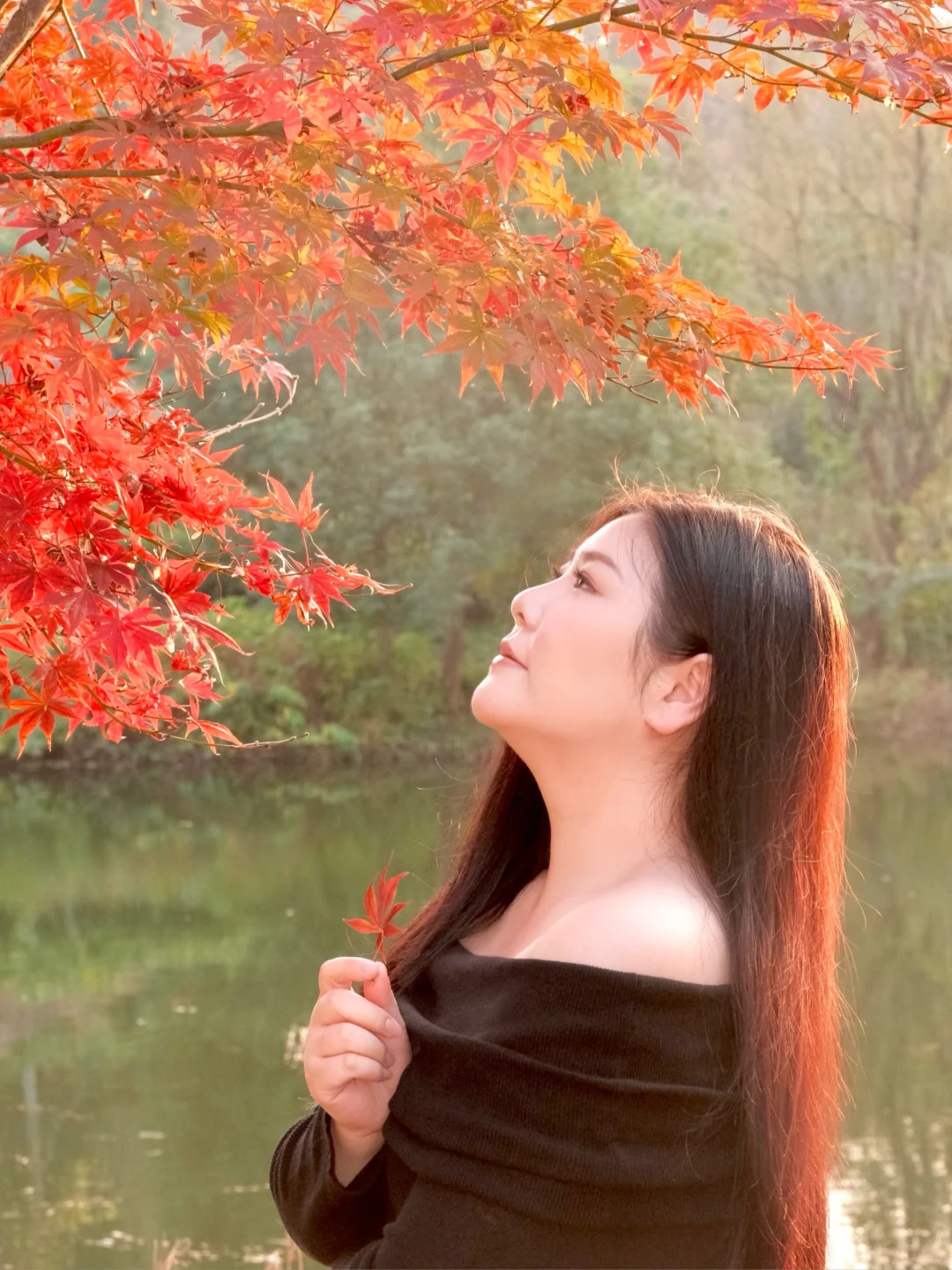 意外发现一棵宝藏红枫，独家美照就靠它了！