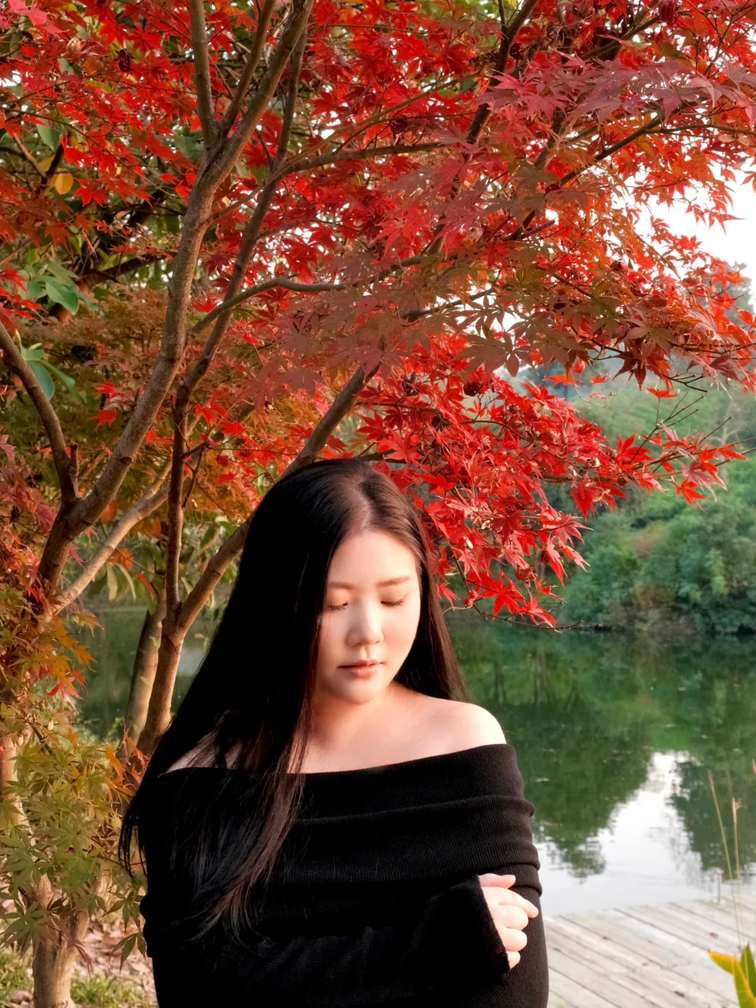 意外发现一棵宝藏红枫，独家美照就靠它了！