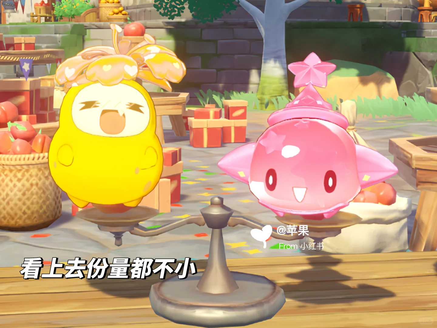 让我看看谁更肥美些，但菊花梨肯定完美身材