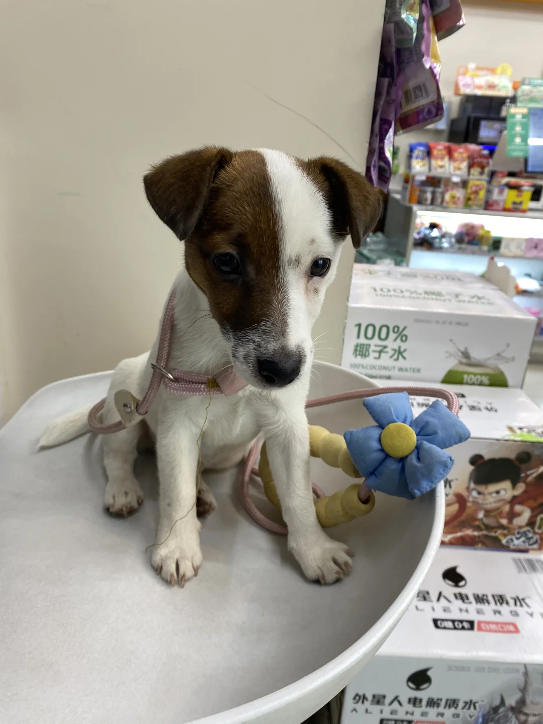 坏女孩的写真集