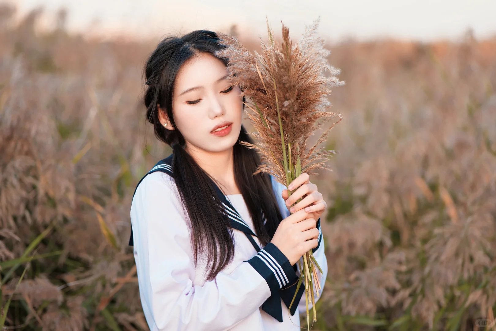 晚秋芦苇丛里，有风有你～