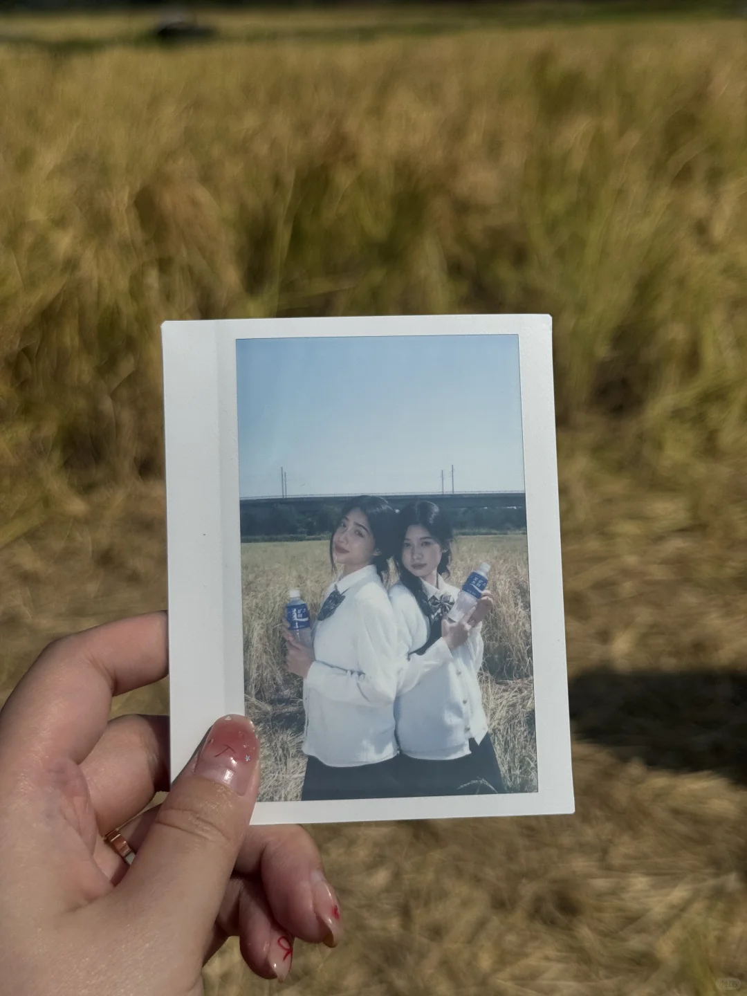 在我身边的你❤️今日份花絮