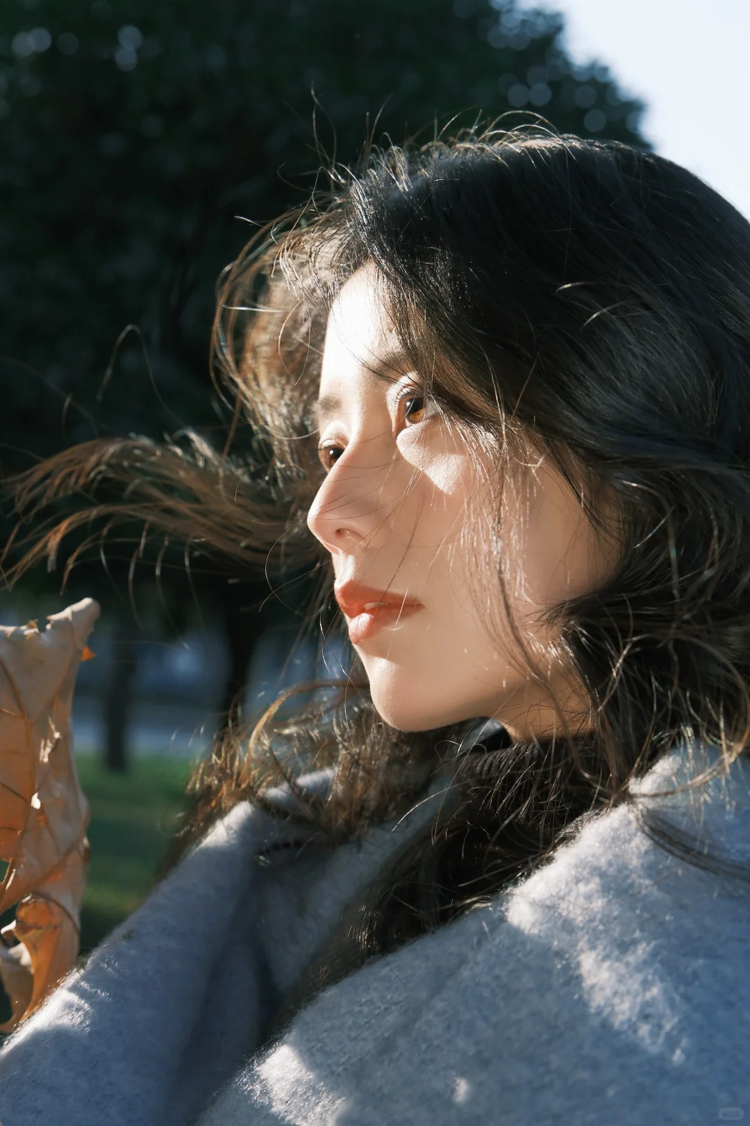 这算不算神级特写？