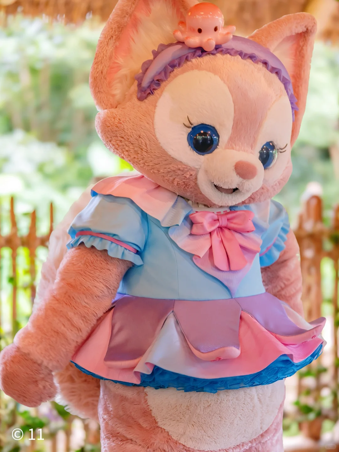 本狐是最性感的🐙🐙