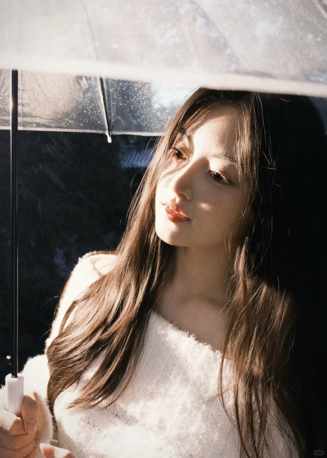 请大数据把我推给重庆的摄影师