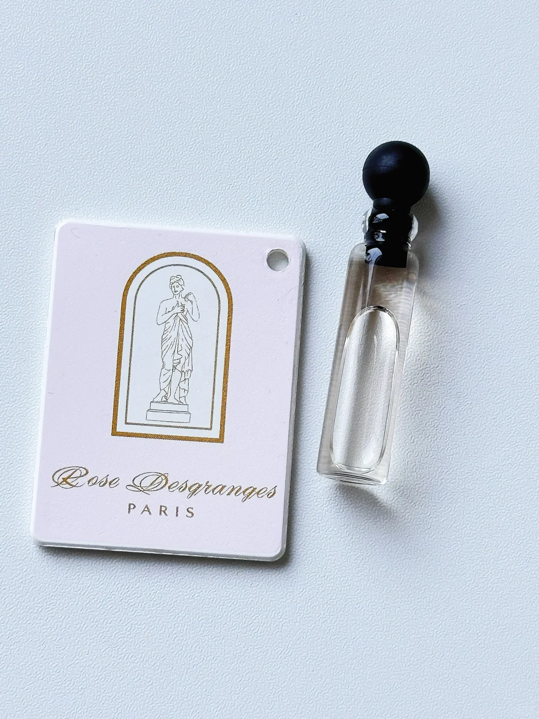 雪地里的玫瑰🥀人间富贵花的玫瑰香