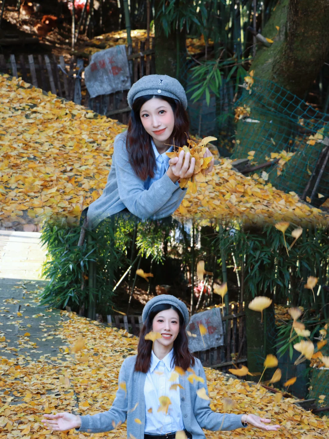 又被骗去了🙂‍↔️11月15日惨状