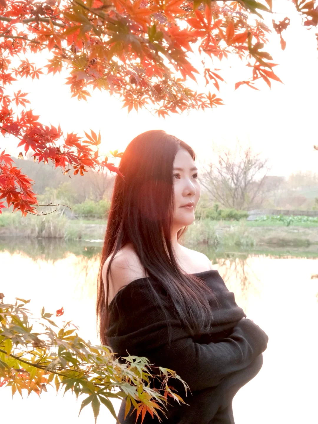 意外发现一棵宝藏红枫，独家美照就靠它了！