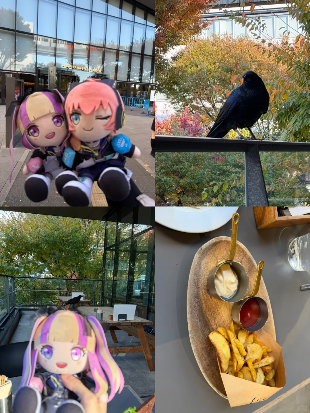 还好有他俩在 不然薯条被乌鸦抢走了