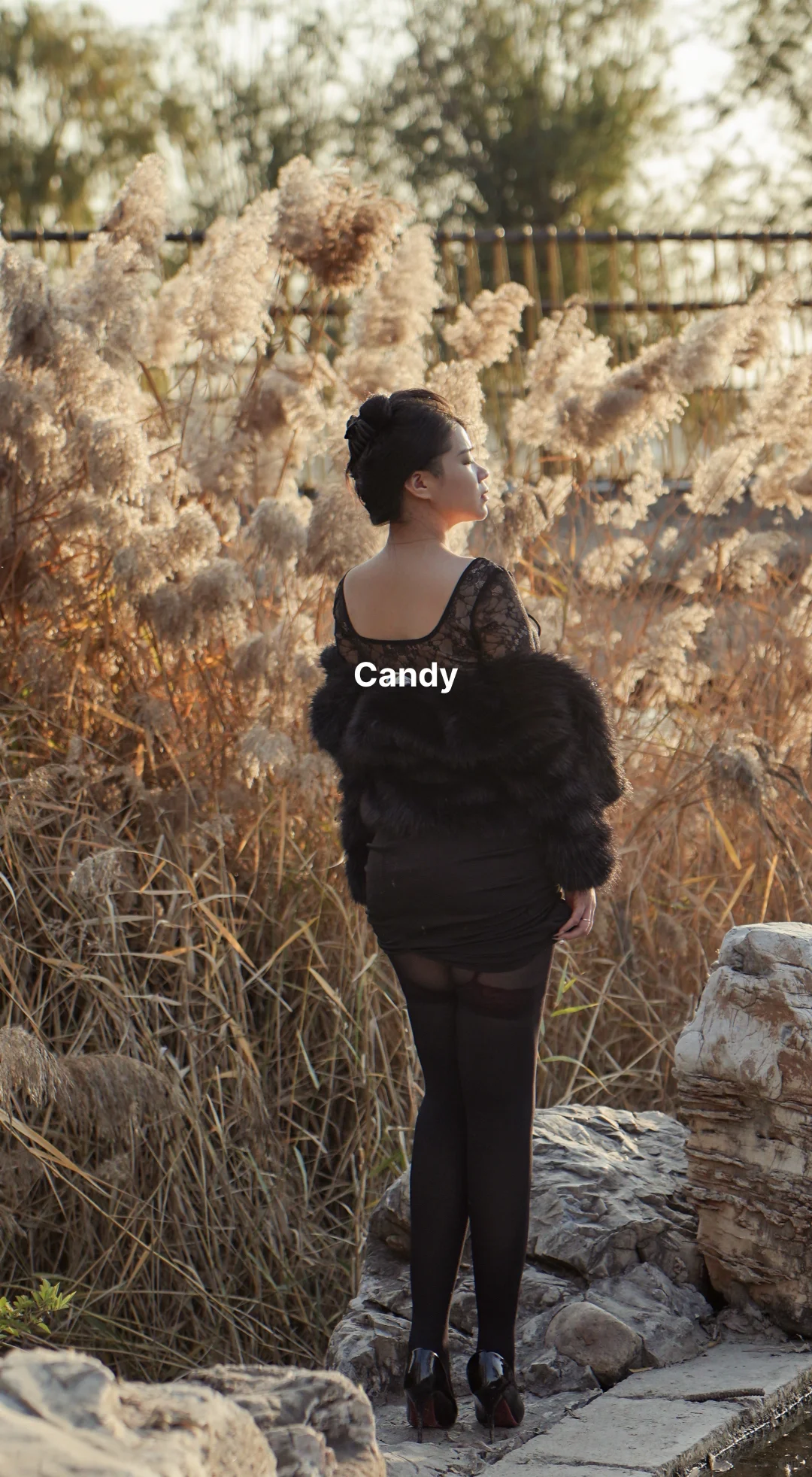 倘若南风知我意