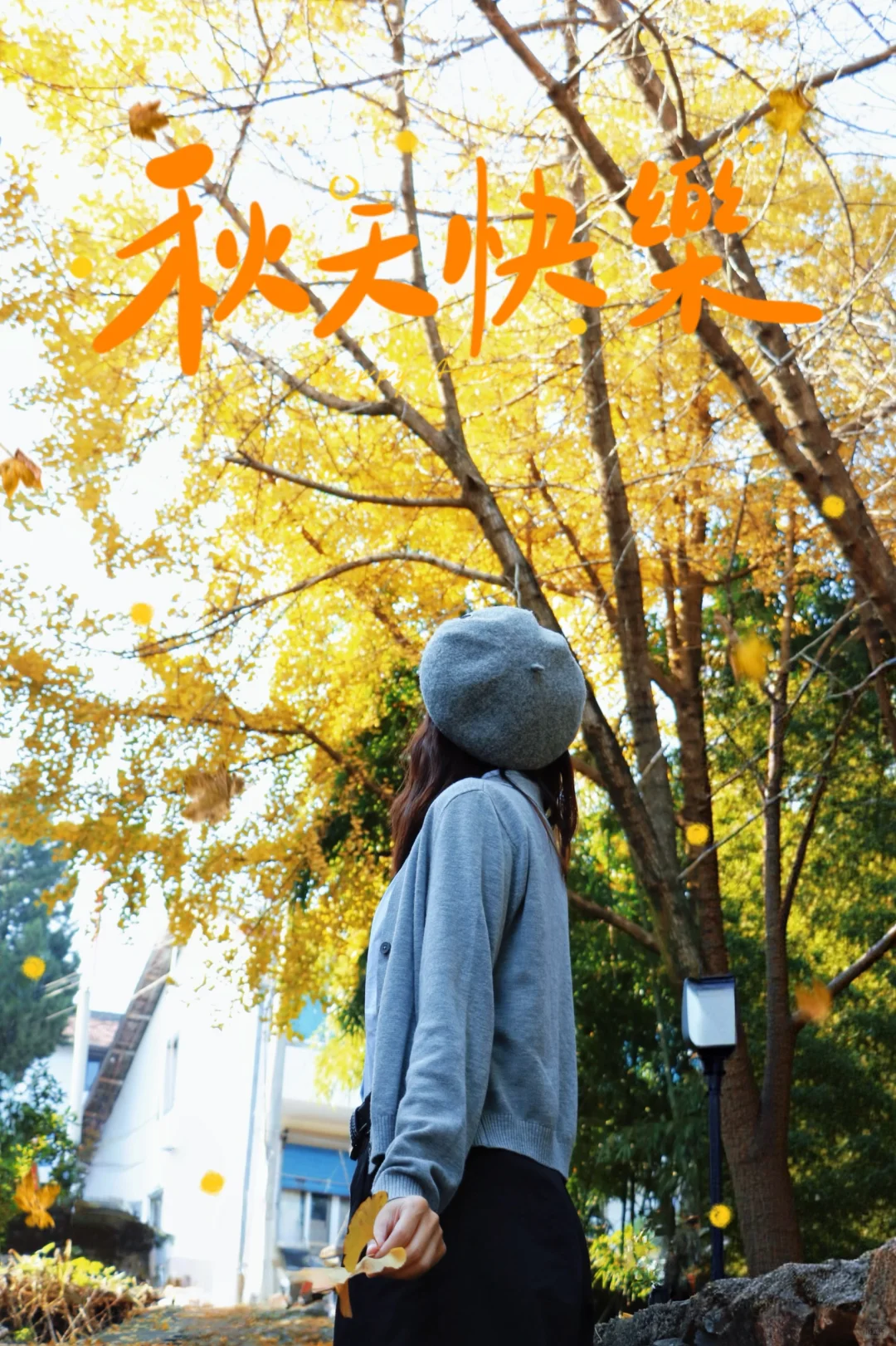 又被骗去了🙂‍↔️11月15日惨状