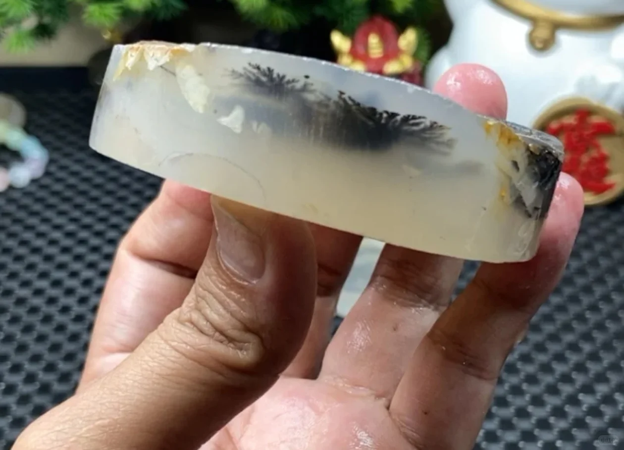 「开板记录」娇艳大黑草花