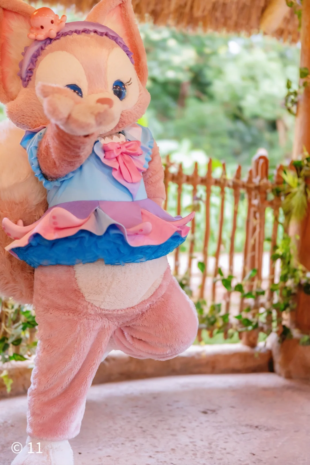 本狐是最性感的🐙🐙