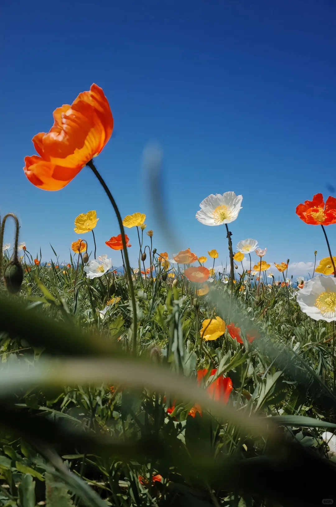 小米预设包成片分享📸