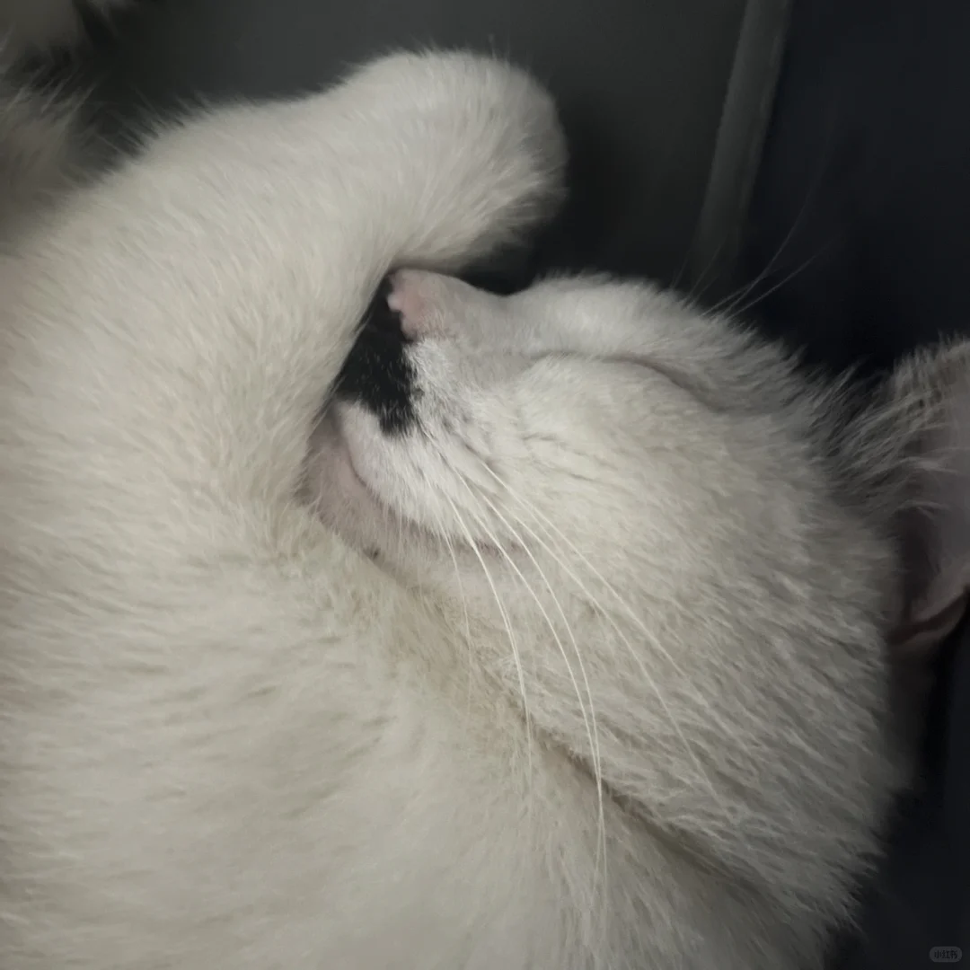 男明星私房照公开