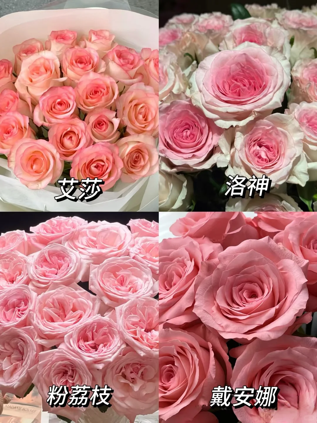 没有女生能拒绝！这几种玫瑰美到心尖发颤！