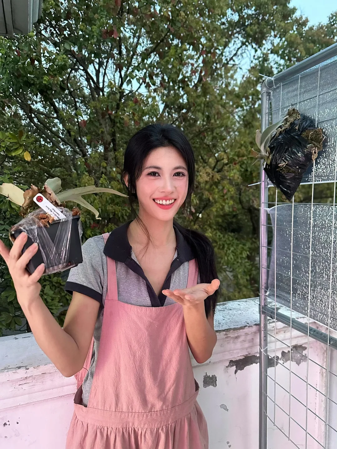 plog好美！我说这张脸