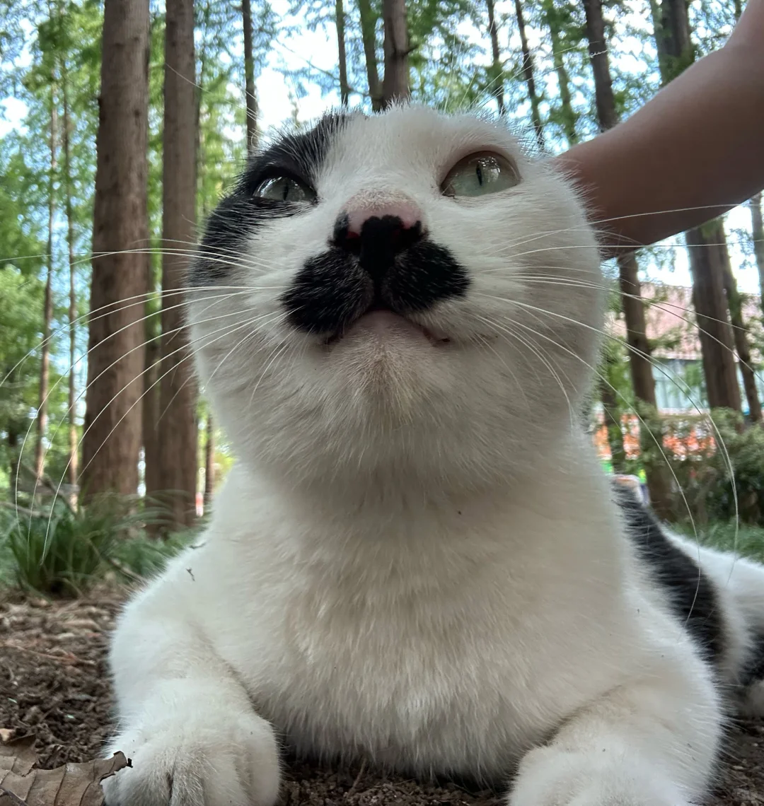 男明星私房照公开