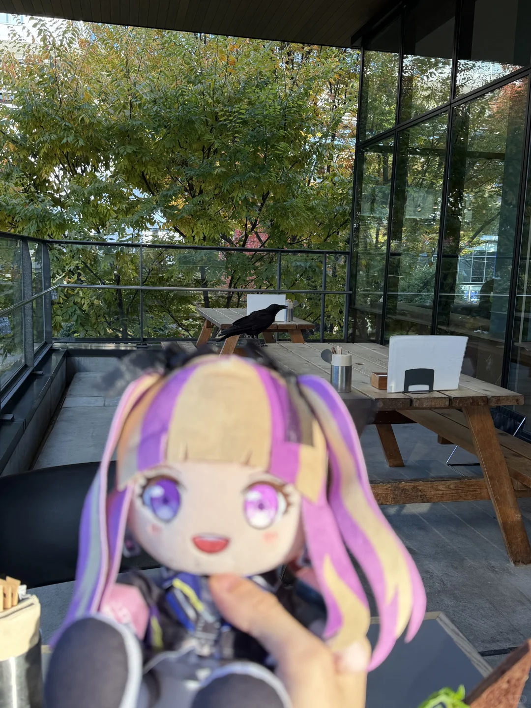 还好有他俩在 不然薯条被乌鸦抢走了