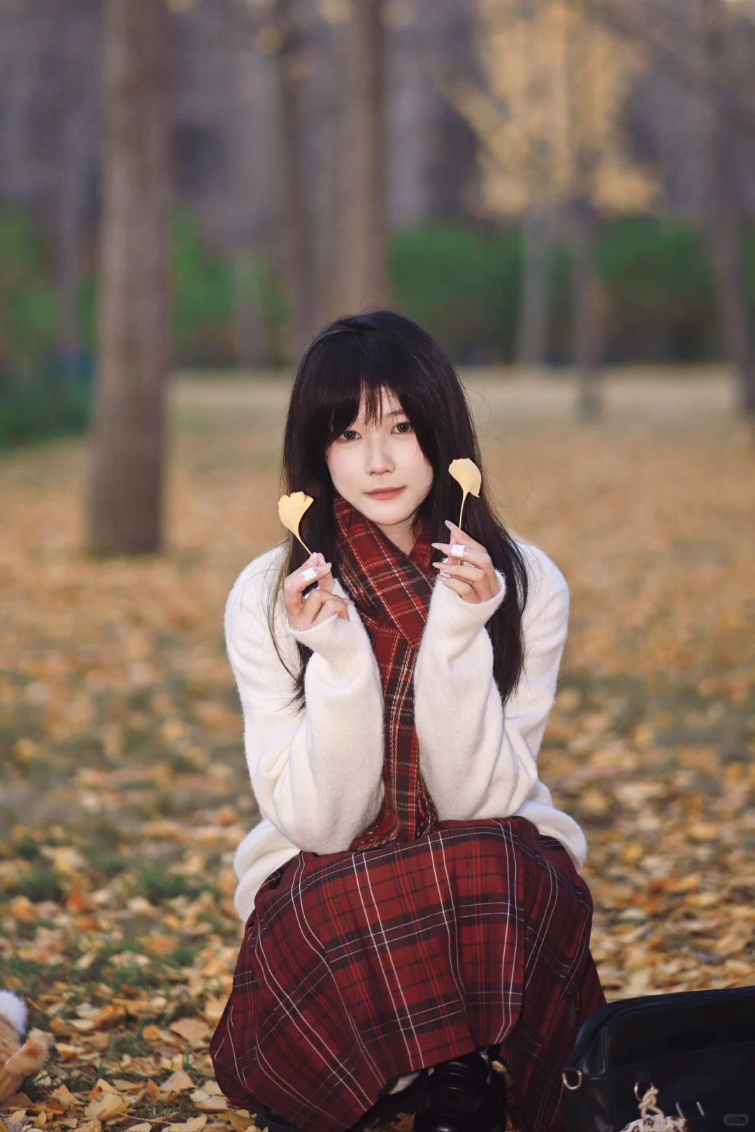 《秋》最后一章