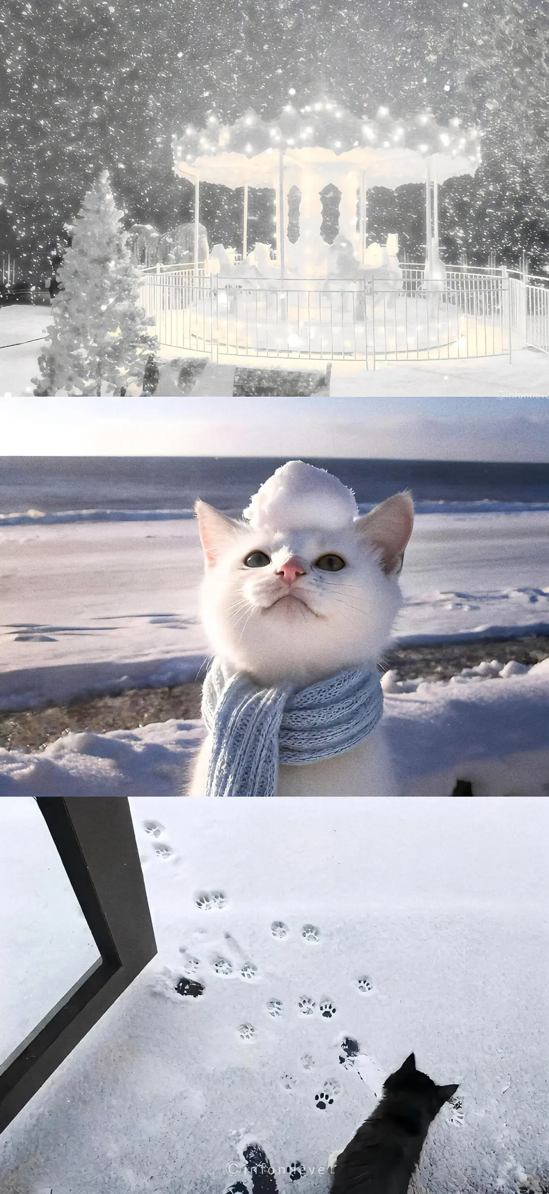 11.21 𝒔𝒉𝒂𝒓𝒆｜拼接风壁纸