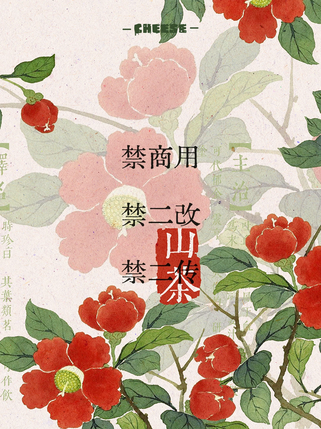 绝美花卉壁纸，清雅又高级！|古风手机壁纸