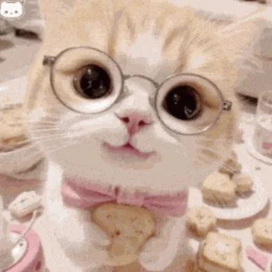 人 晚上嚎～ 你在干森莫🐱