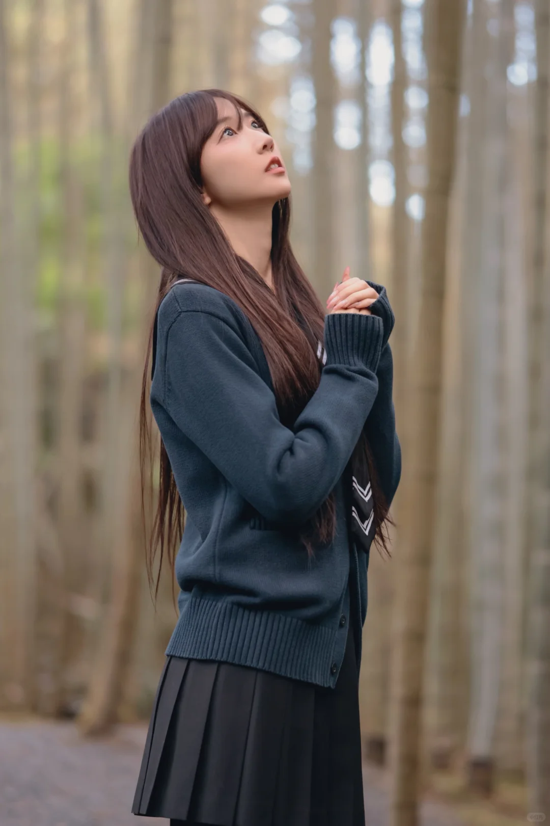 小丝带你发现京都之美